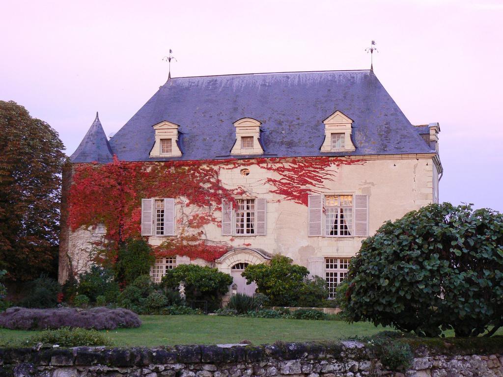 Gite Chateau De Chaintres Dampierre-sur-Loire Zimmer foto